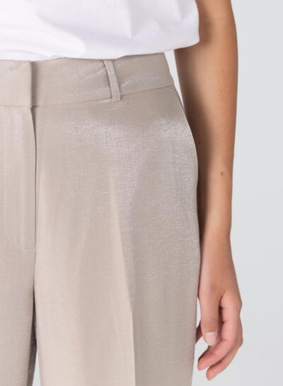 Glanzende broek Dara